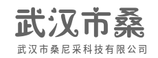 每一次点击，都是与未来的对话-武汉市桑尼采科技有限公司